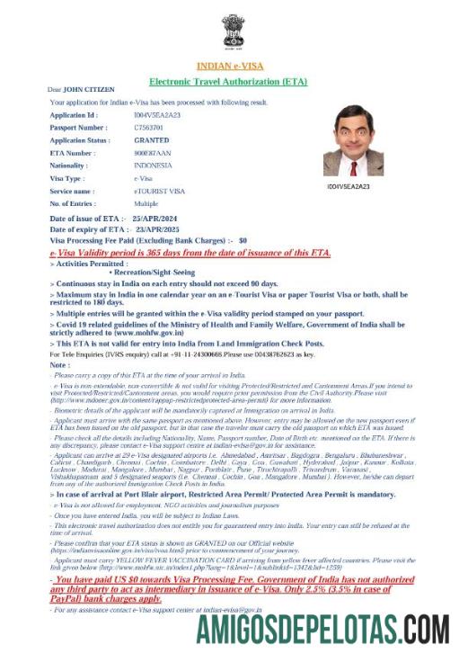 em branco Modelo de visto E da Índia em formatos Word e PDF, versão 4